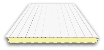 Sandwichplatten Wand - 100mm - RAL 9002 (Grauweiß)